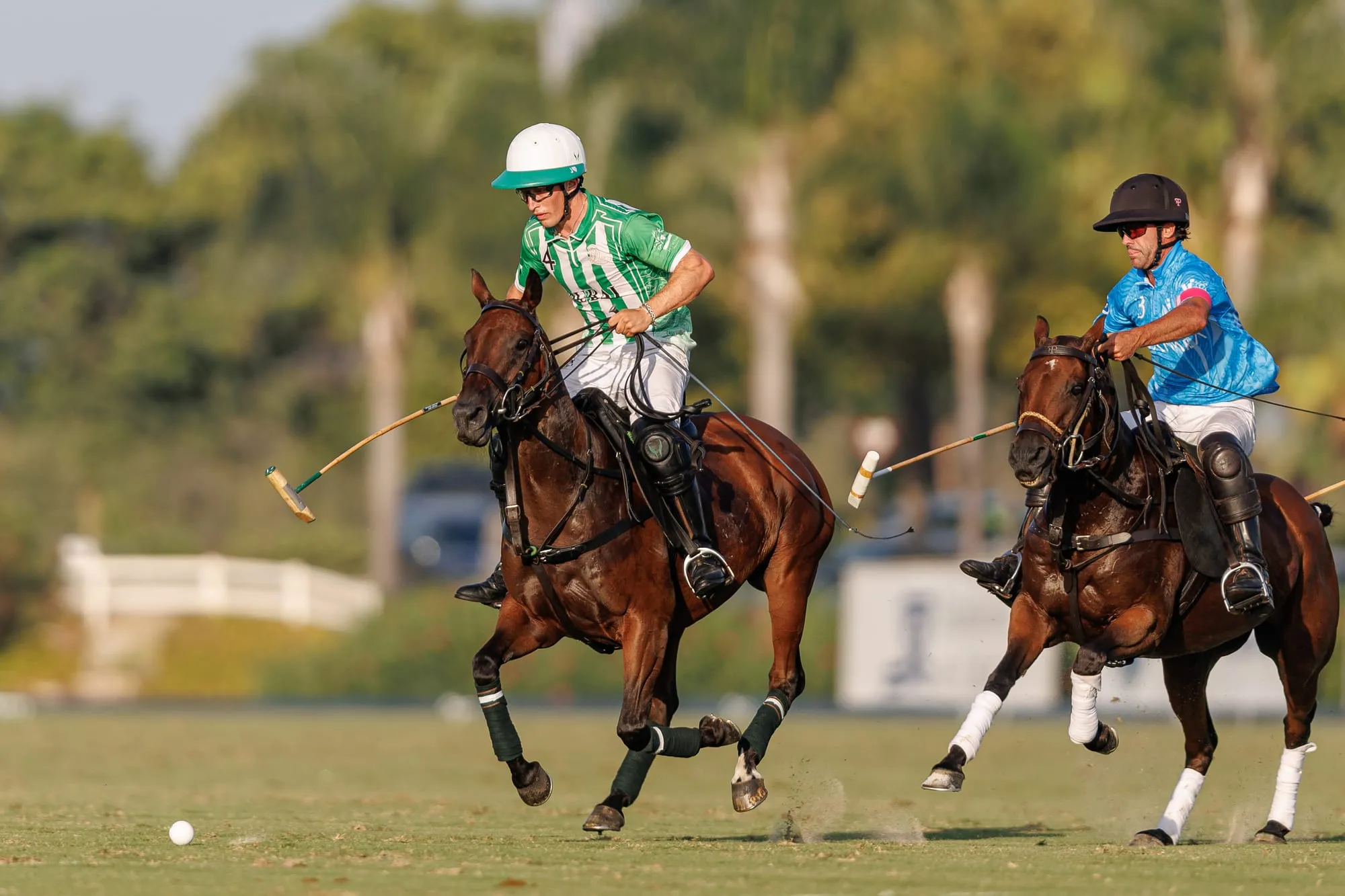 Bartolomé Castagnola (h) & Facundo Pieres - FINAL COPA DE PLATA TERRALPA ALTO HÁNDICAP.