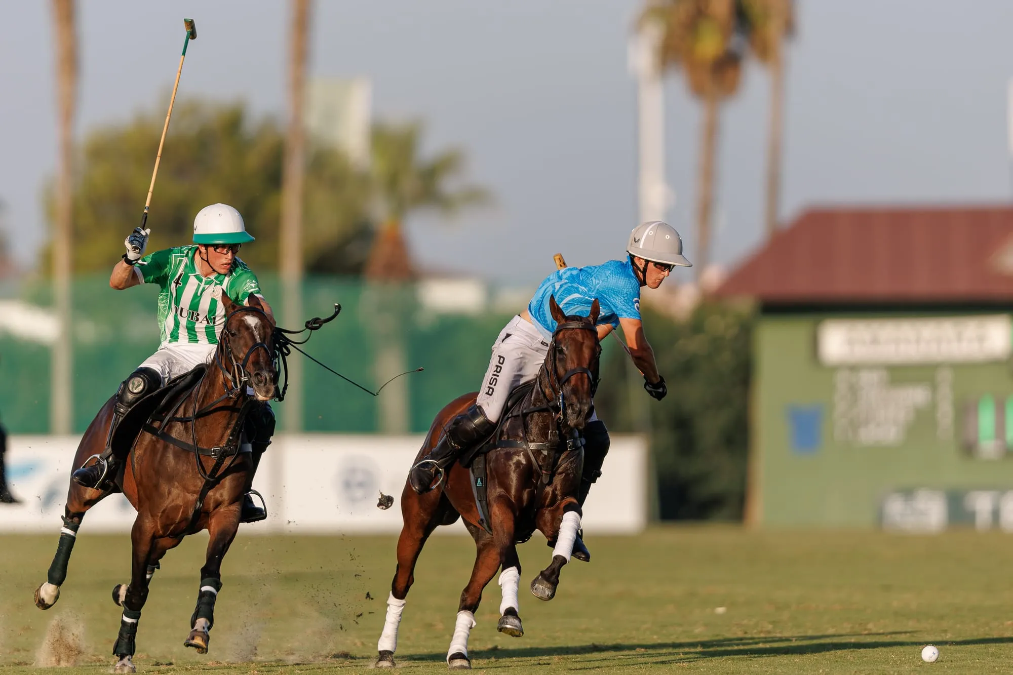 Bartolomé Castagnola (h) & Teodoro Lacau - FINAL COPA DE PLATA TERRALPA ALTO HÁNDICAP.