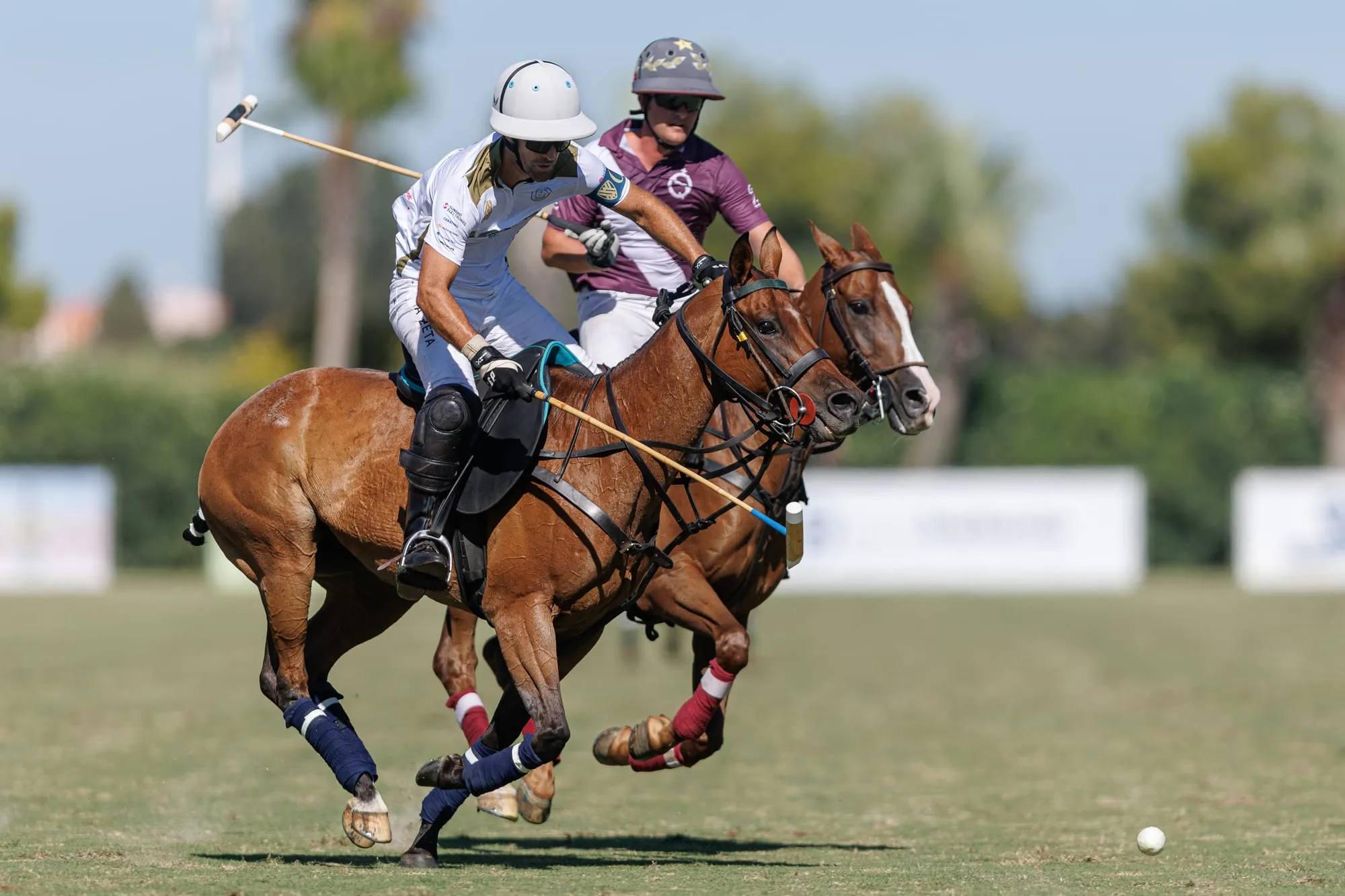 Copa de Oro Ayala Polo Club de Alto Hándicap