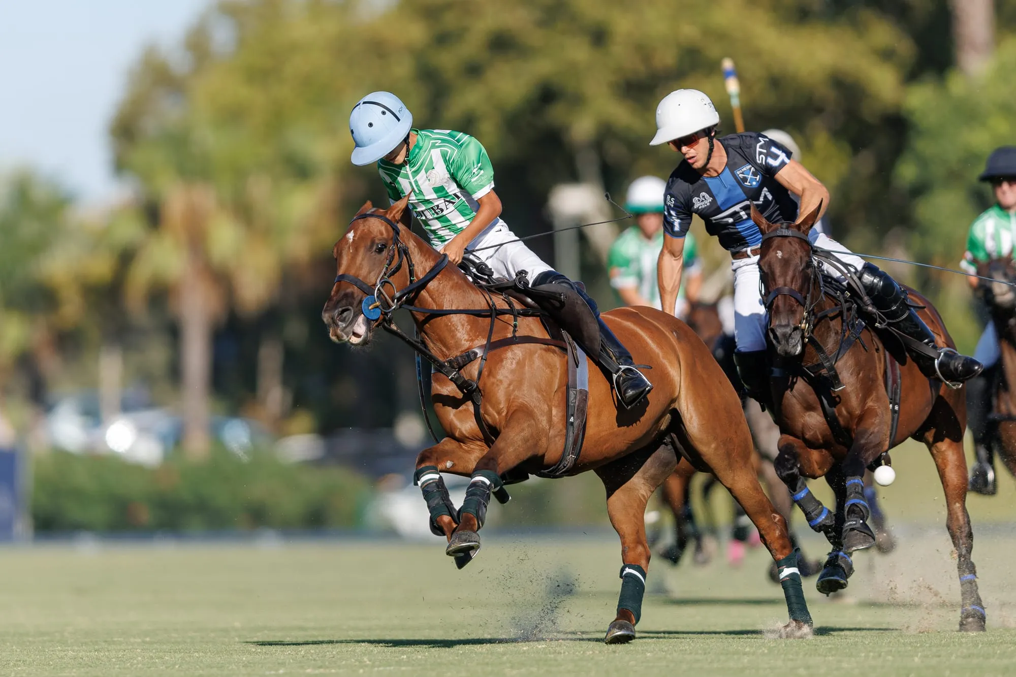 Copa de Oro Ayala Polo Club de Alto Hándicap