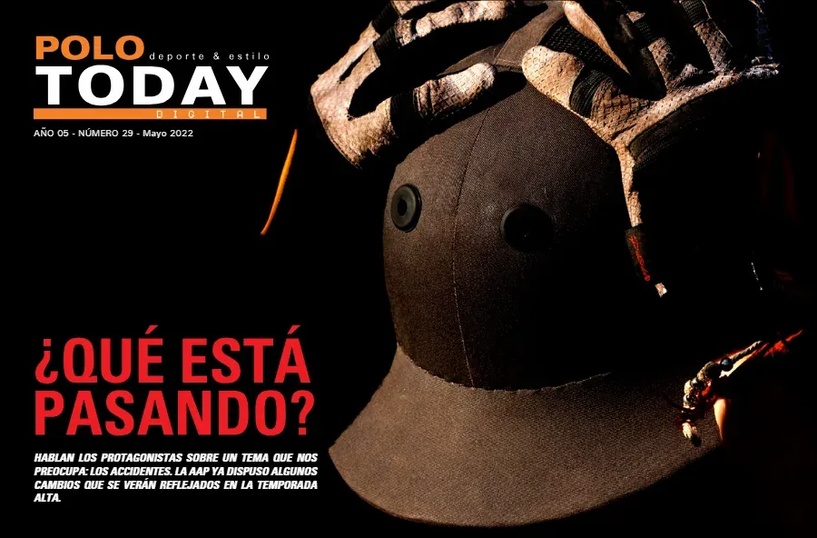 Tapa de la edición N° 29