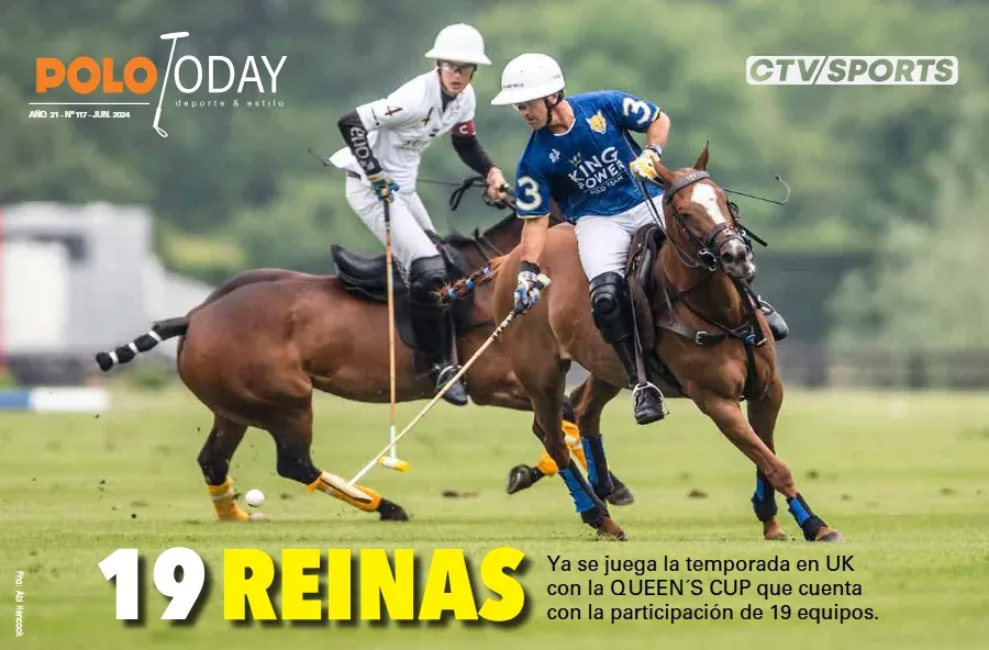 Tapa de la edición N° 117